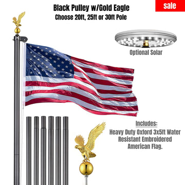 Black Pulley Flag Pole Kit w/ Gold Eagle