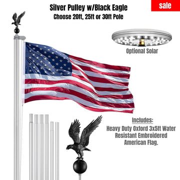 Silver Pulley Flag Pole Kit w/ Black Eagle